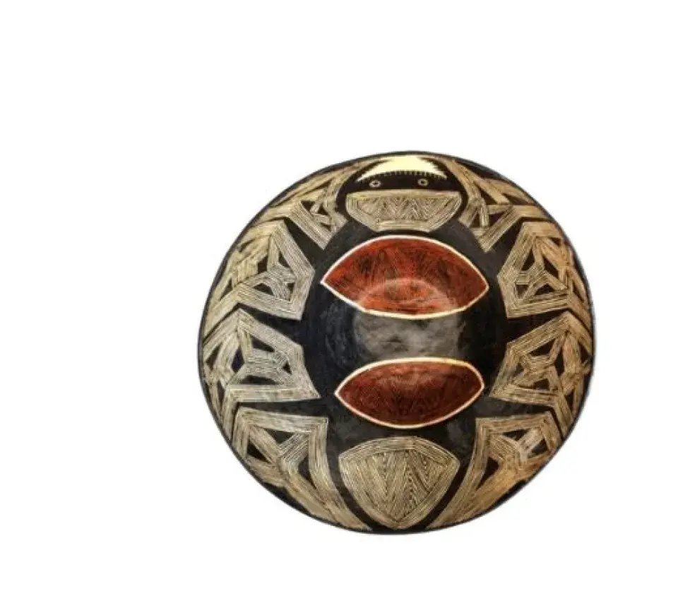 Sans poil ni plume en Amazonie une conférence de Stephen Rostain (CNRS)